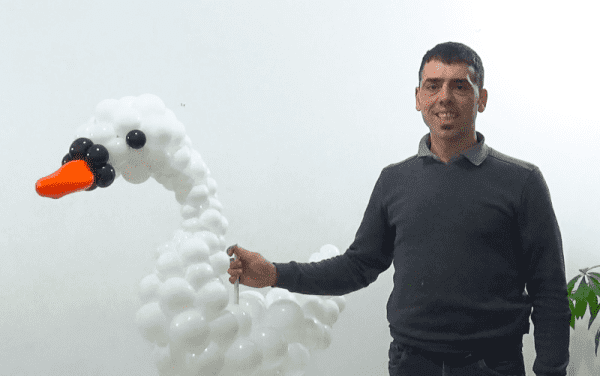 Sculture di palloncini - Cigno con palloncini 5 pollici