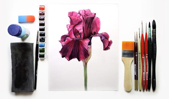 Corso avanzato di acquerello naturalistico: l'Iris