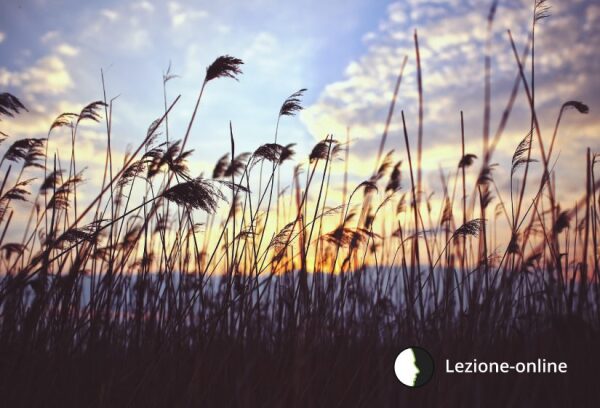 Corso sulla Resilienza: superare situazioni di difficoltà